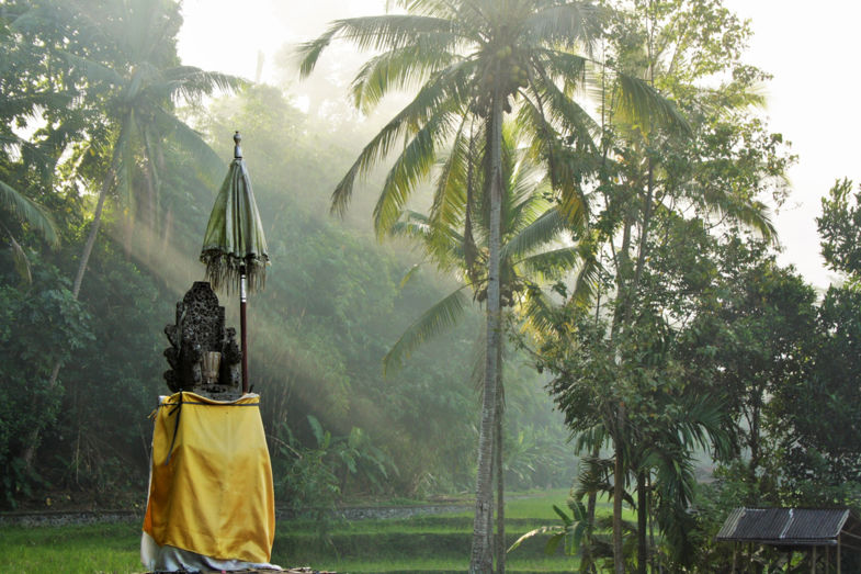 Discovering the beauty of Bali when walking to Gunug Kawi Temple, Indonesia