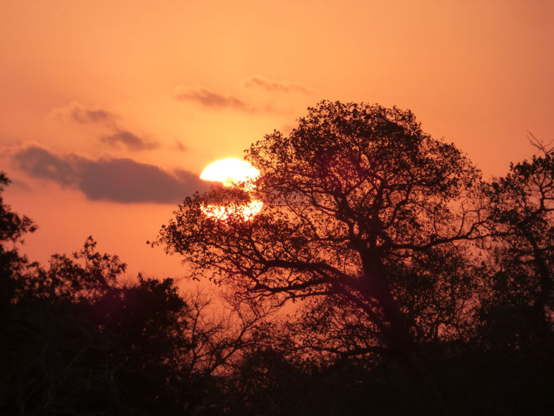 Wondermooie zonsondergang - Kruger  2016