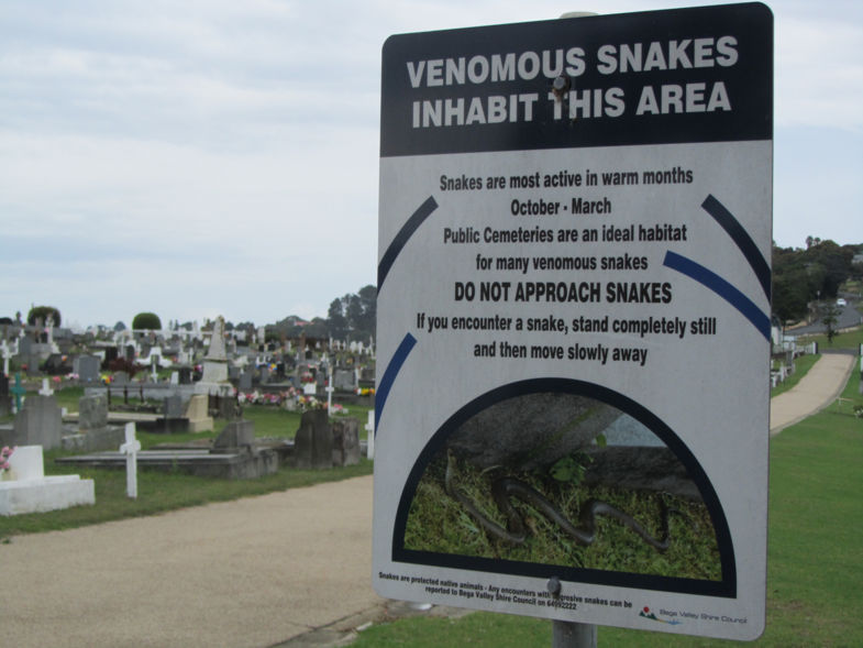 Giftige slangen op het kerkhof