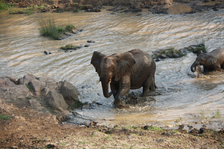 luhluhwe safari