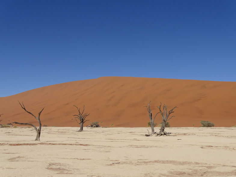 Deadvlei