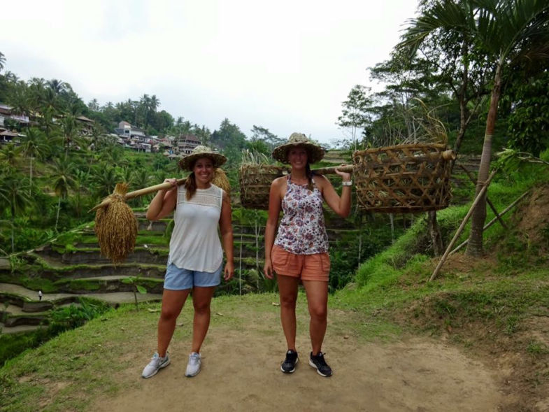 Rijstvelden Ubud