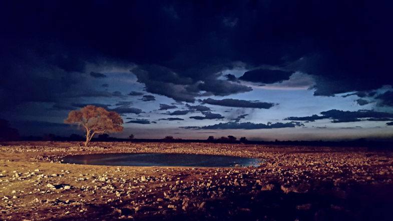 Waterhole..