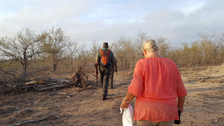 Wandelsafari in Krugerpark