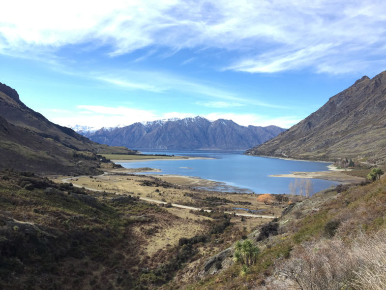 The neck in New Zealand