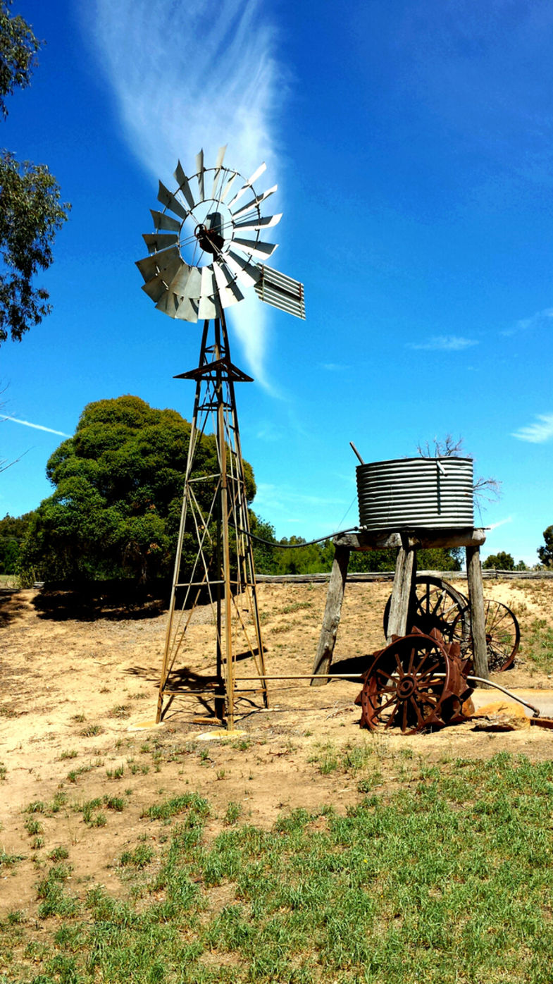 In the outback, Australië