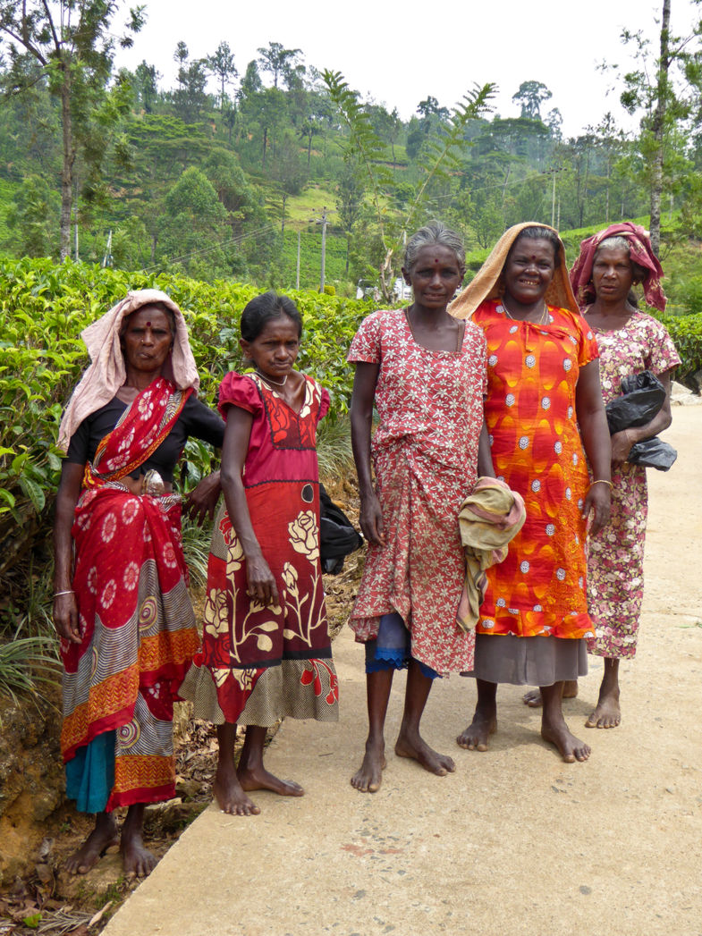 Kleurrijke Tamilvrouwen in de theeplantages van Sri Lanka