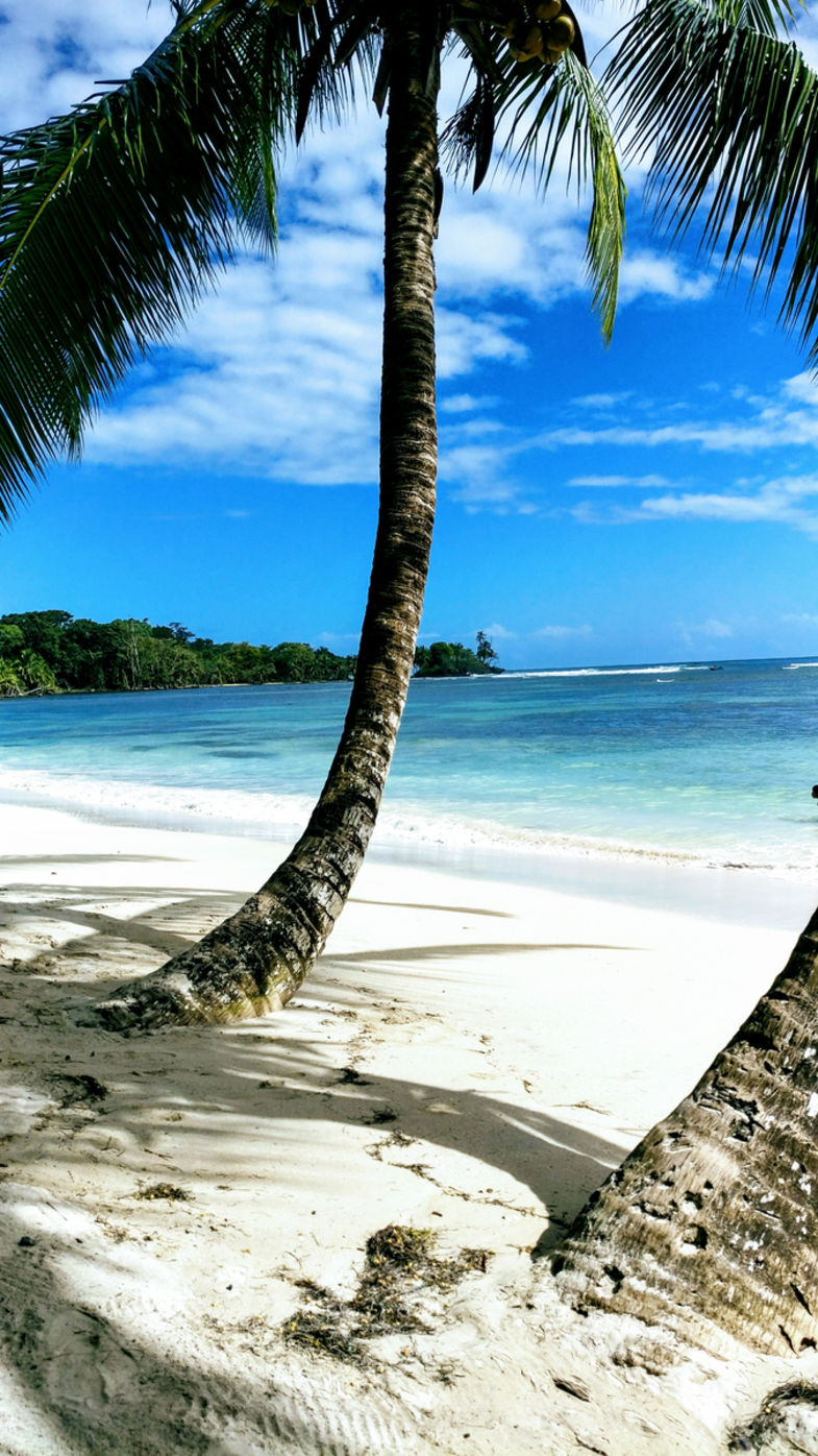 Isla Carenero