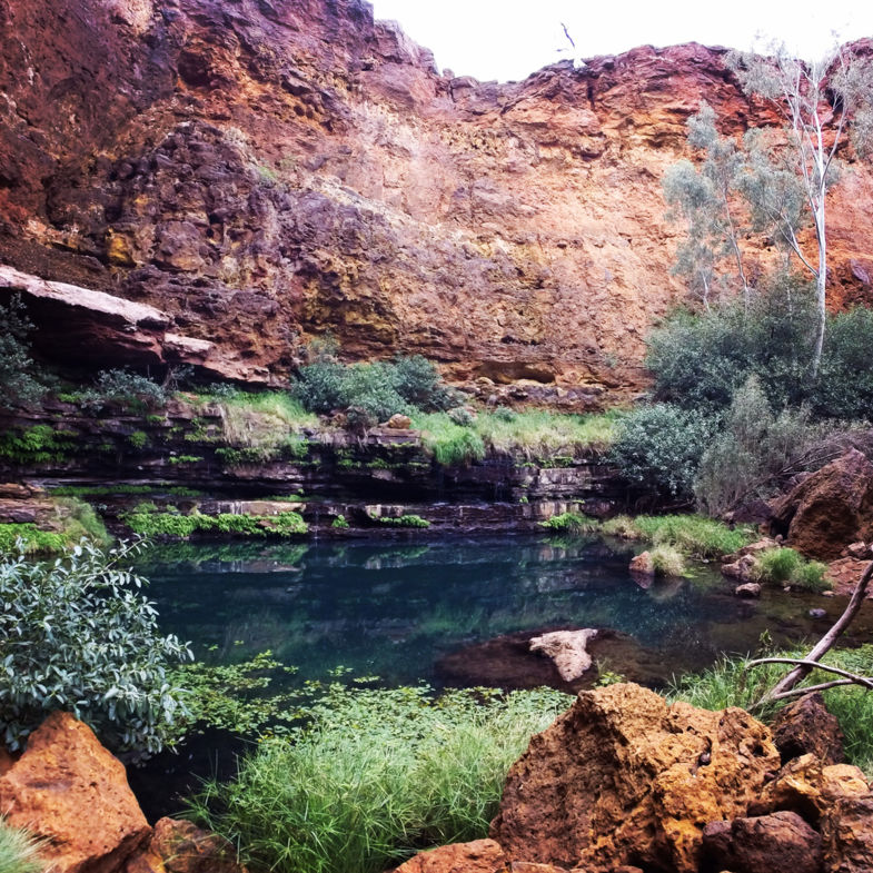 The perfect blue pool in the red outback