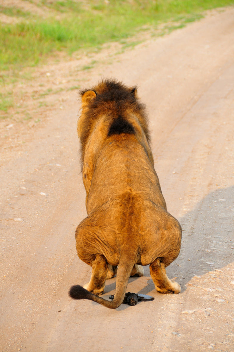 Opzij, opzij, opzij, maak plaats, maak plaats, maak plaats.. zo stinken, niet te doen