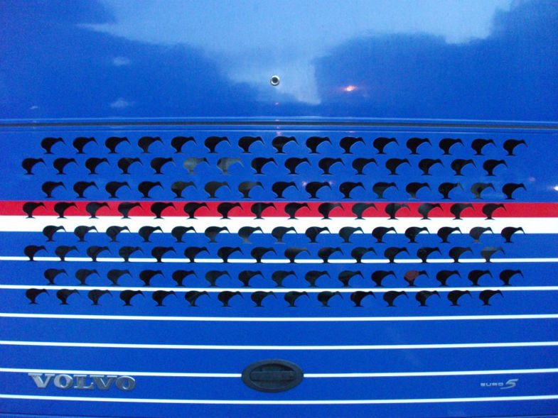 Transport in Nieuw-Zeeland - achterkant van een autobus