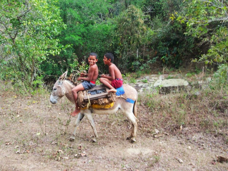 Cubaanse jongetjes op ezel