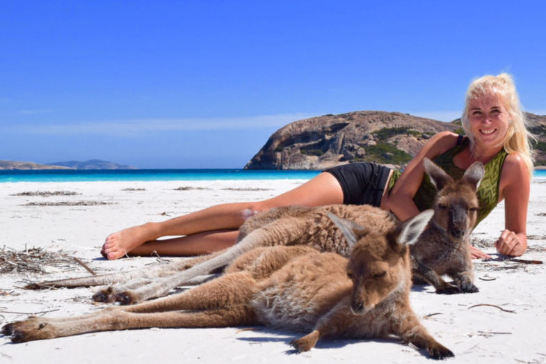 Relaxen met de kangoeroes op het strand in Australie!