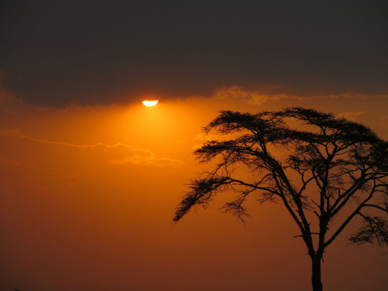 Zonsondergang van een luipaard