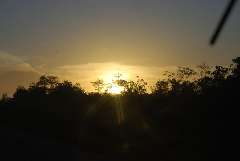 Zon opkomst in de regenwoud van Suriname . Op de weg oost west verbinding .