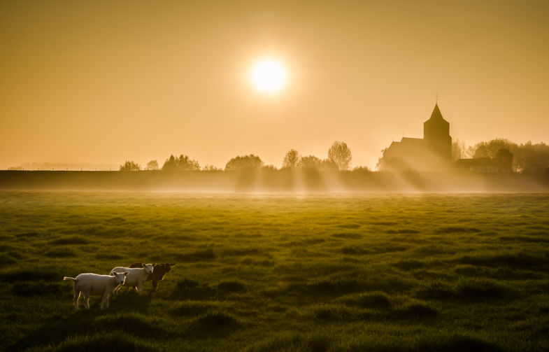 Zonsondergang oud-zevenaar