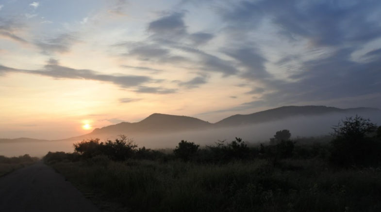 Een sprookjes achtige zonsopkomst in pilanesberg