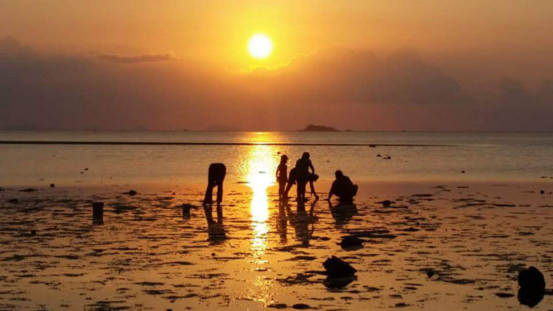 Locals searching for sea animals(?) during sunset
