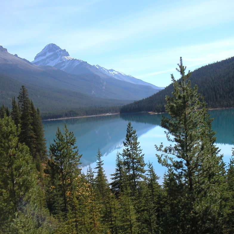 Just along the road...