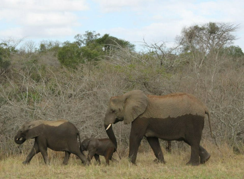 Kolonel Hatie's mars in real life!