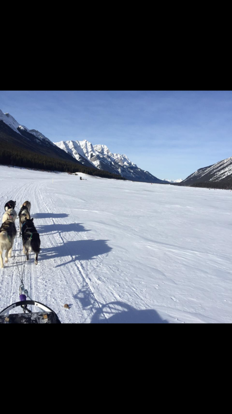 Frozen lake ride