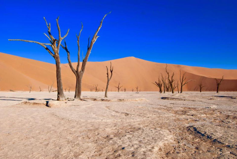 Sossusvlei/Deadvlei Namibië
