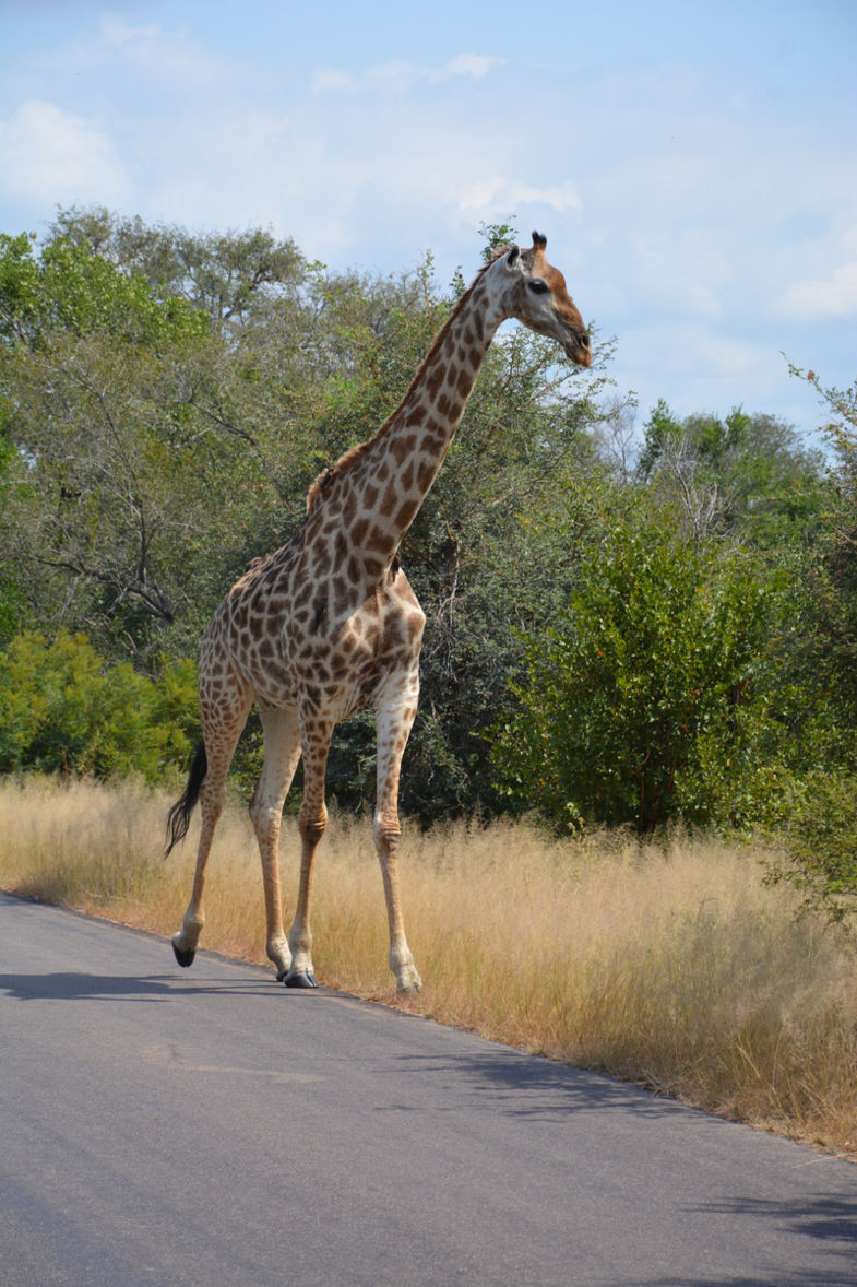 Zomaar voor je auto langs