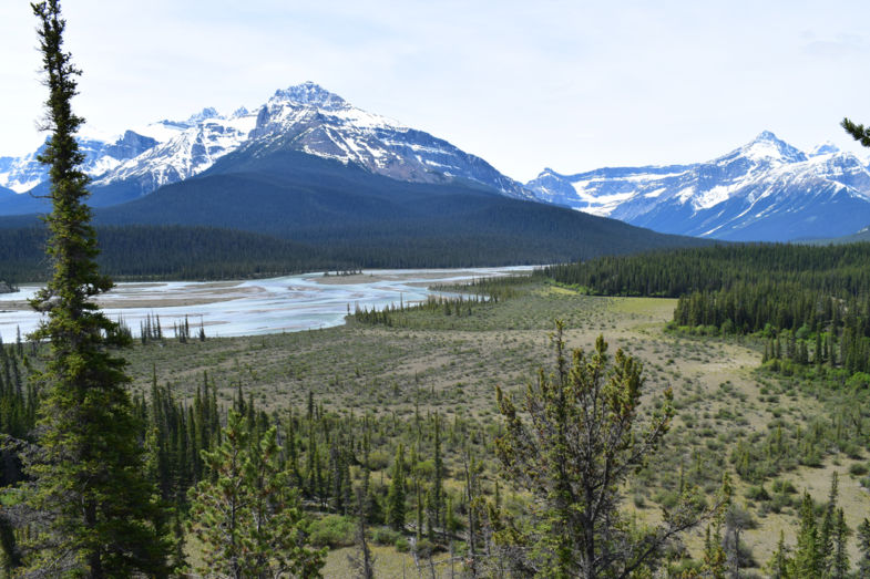 From peak to prairie