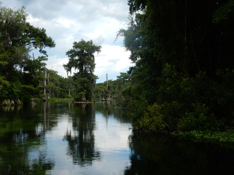 Ons Honeymoon en een foto waar de film the creature of the black lagoon is gemaakt