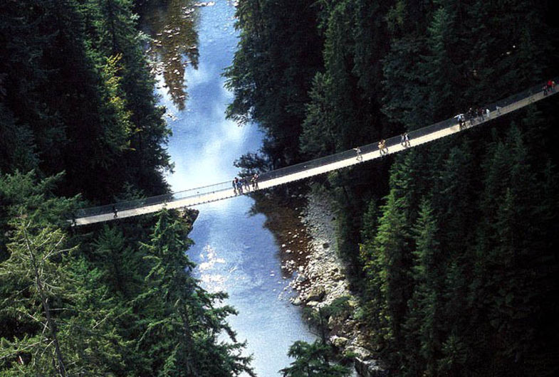 GÉÉN hoogtevrees! Capilano Suspension Bridge