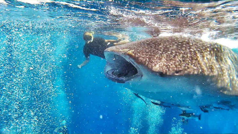 Onze dochter met een visje