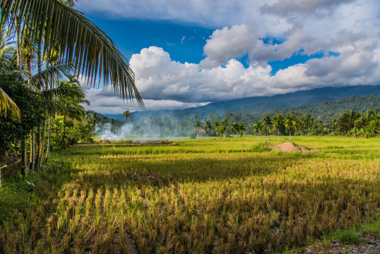 Beautiful sunny day at the tropical island Sumatra