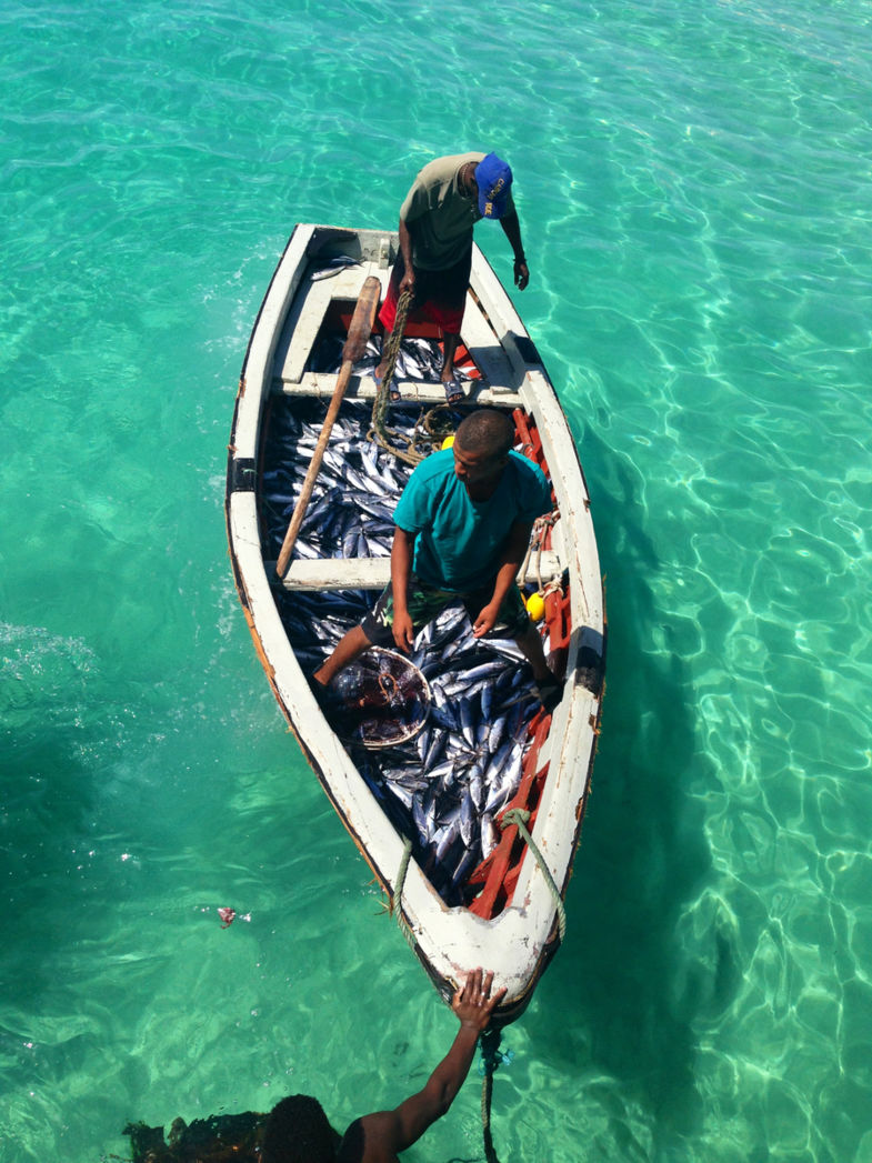 There are plenty more fish in the sea!