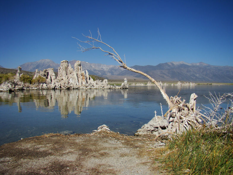 Buitengewoon landschap van Mono Lake, Californië