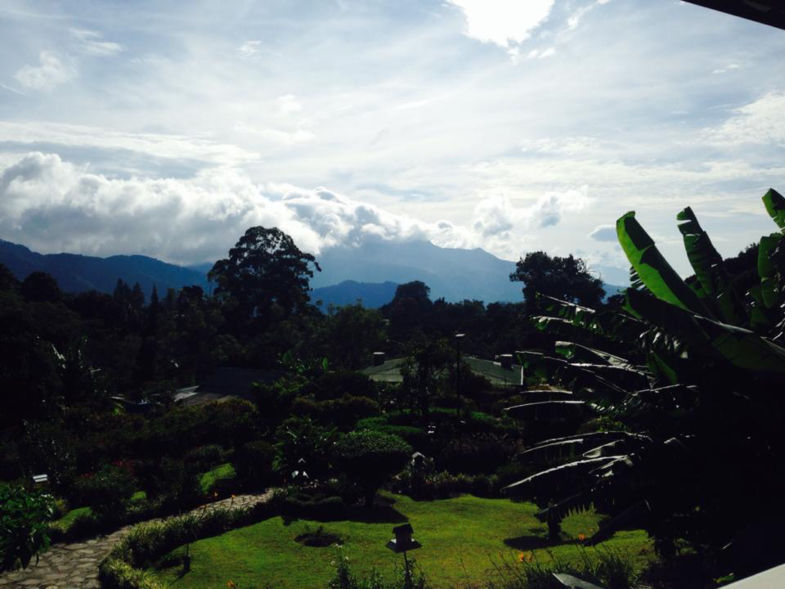Rustgevend Uitzicht op de koffieplantage.