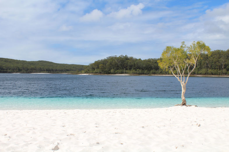 Amazing Lake McKinsey