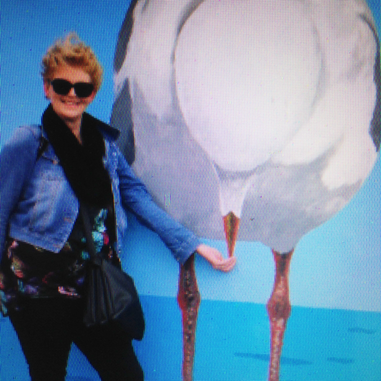 Bondi-Big-Bird