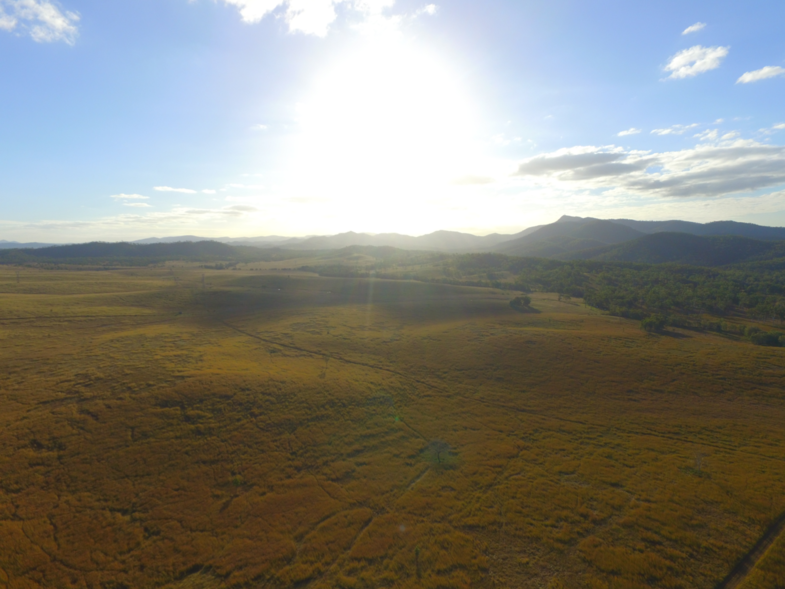 Stunning sunset in the bush.