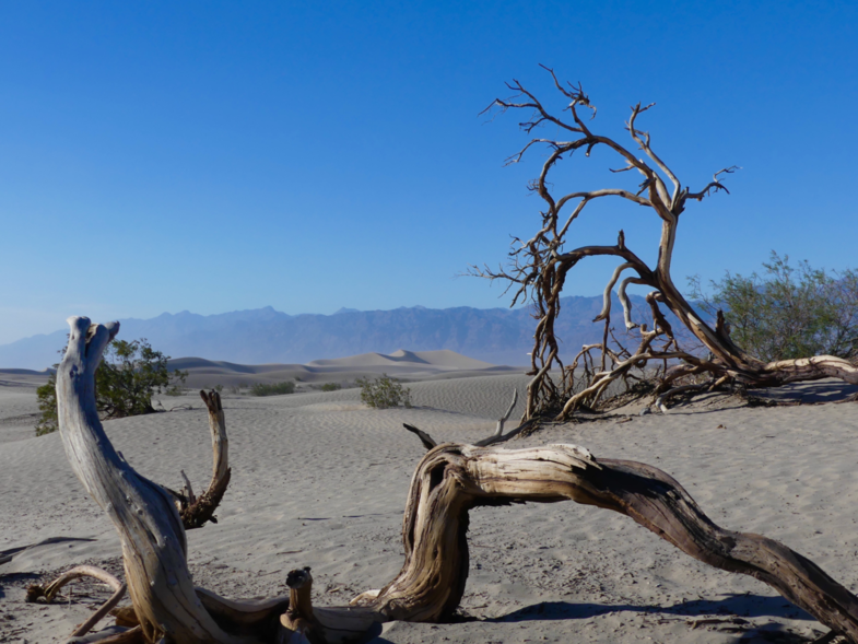 Sand dunes in Death Valley National Park