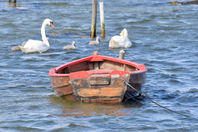 De boot gemist!