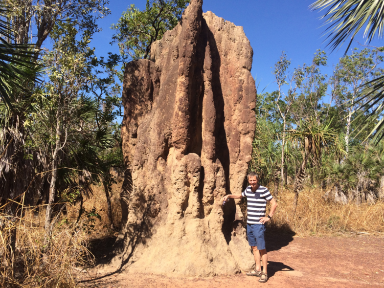 Litchfield National Park