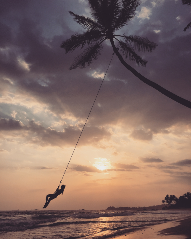 Playing and swinging  of the palm tree