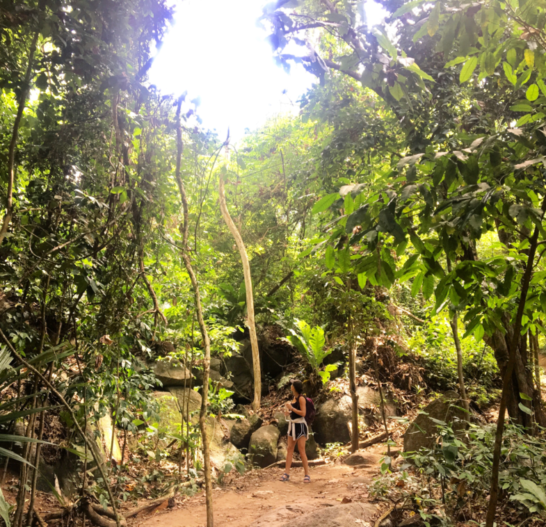 Junglebook Colombia