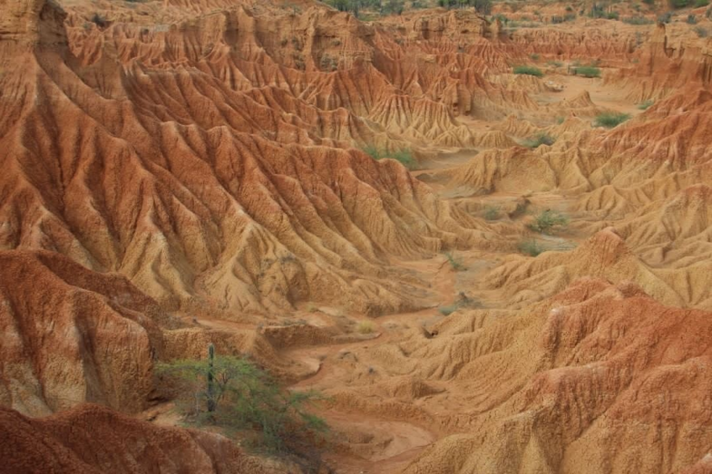 The sound of silence