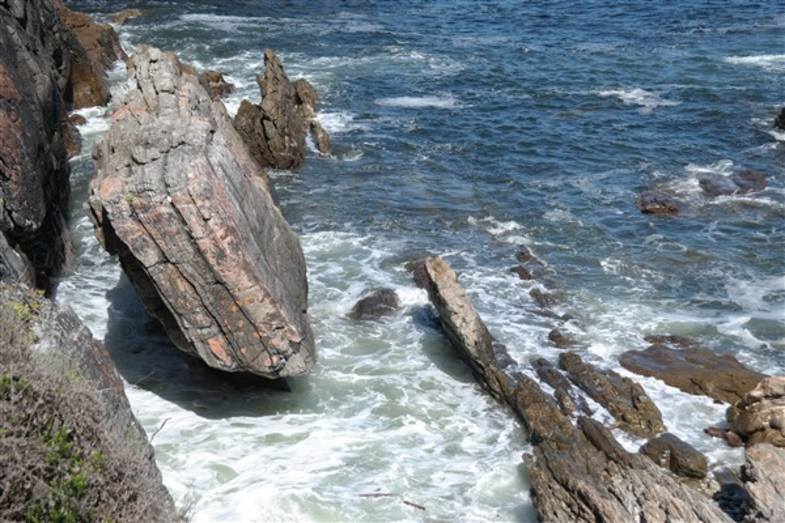 Rotsboek in de branding