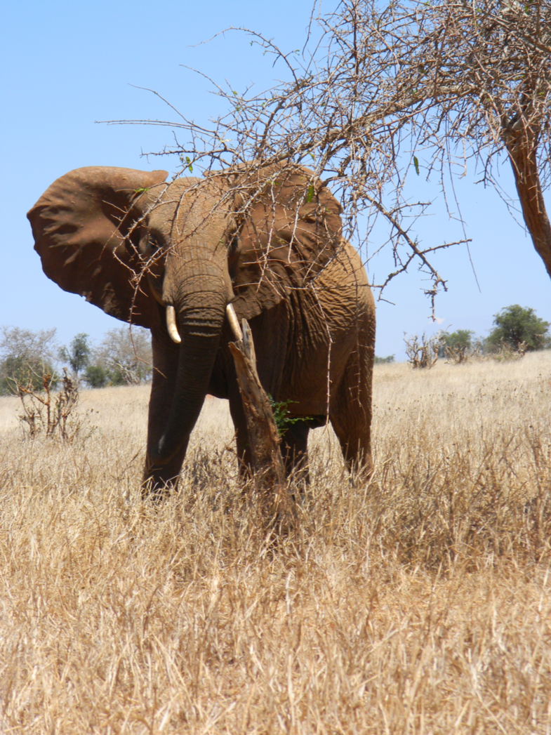 We worden in de gaten gehouden