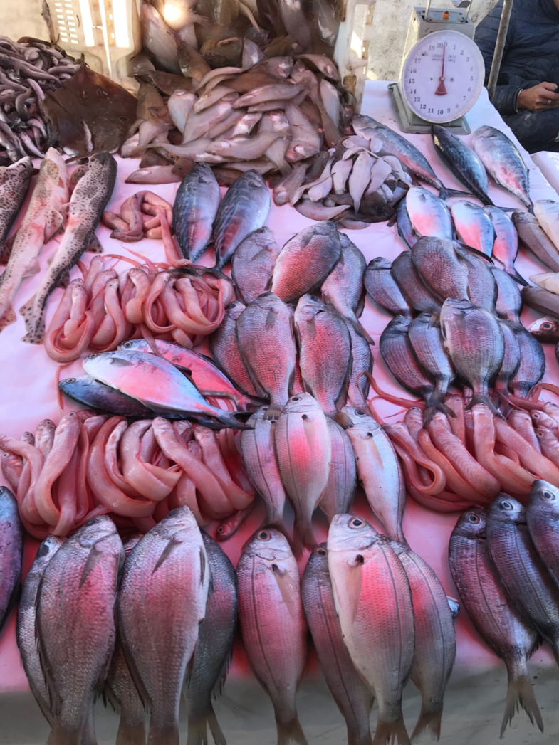 Vismarkt Marokko