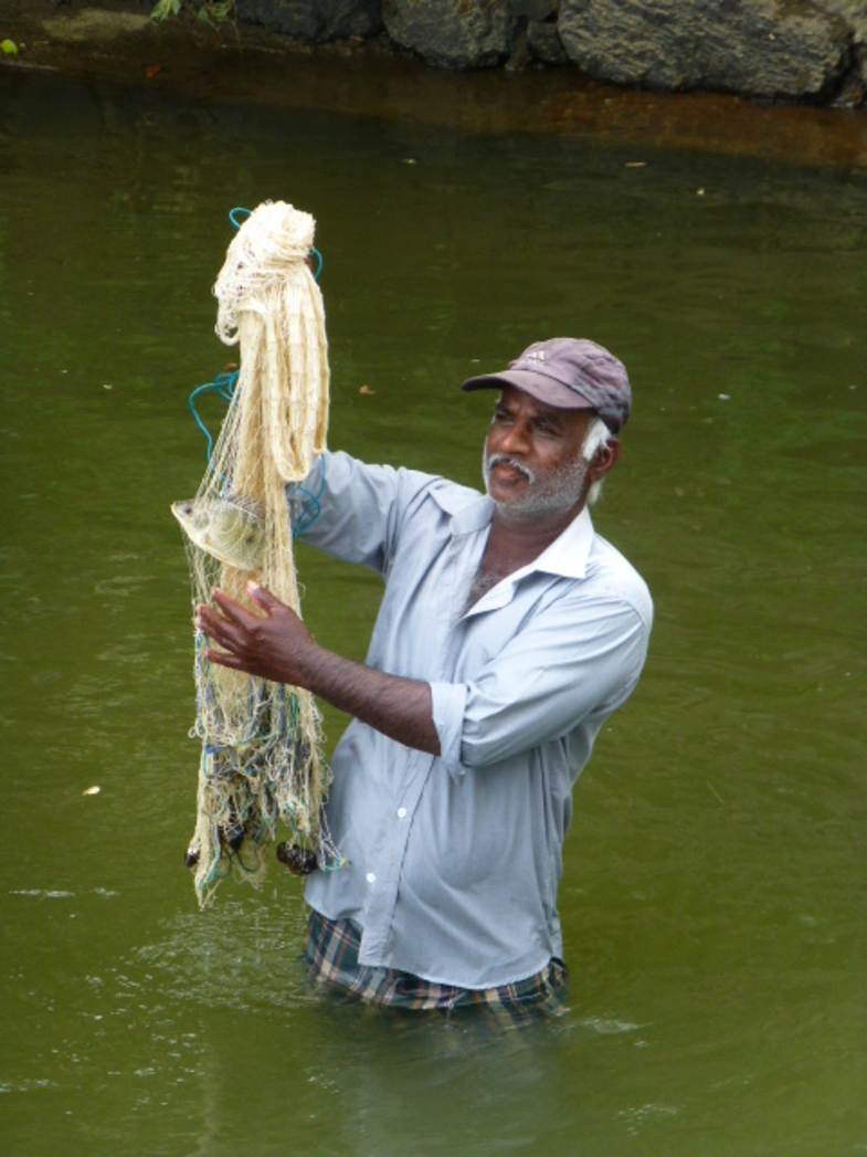Primitieve visvangst Sri Lanka