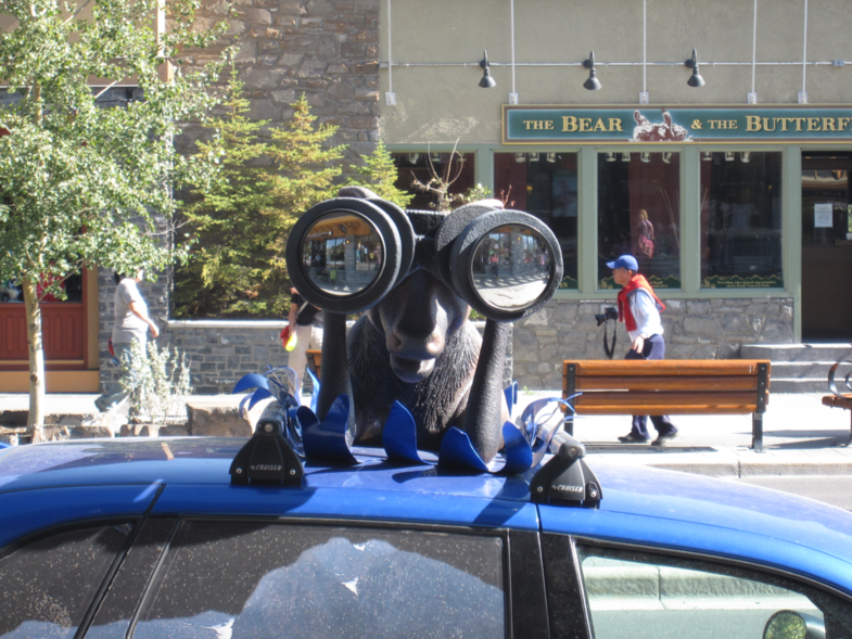 Ga je mee op excursie