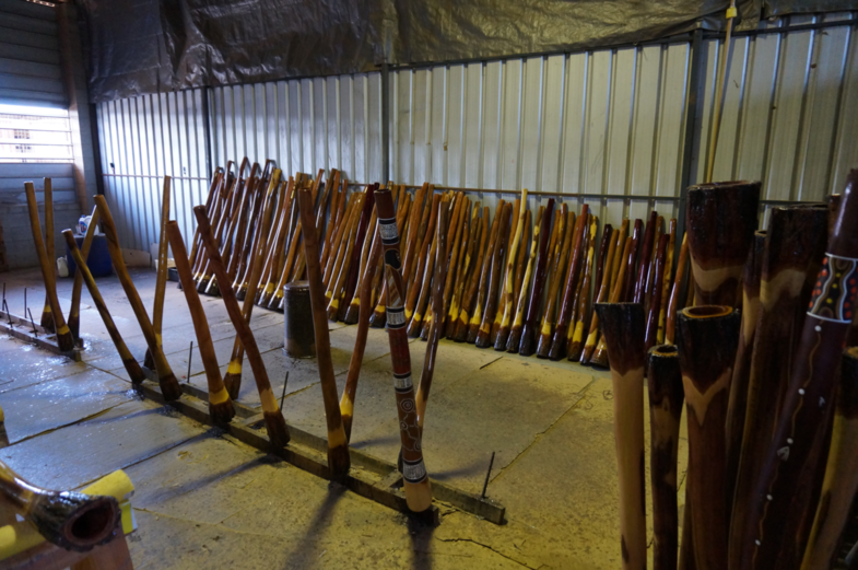 Didgeridoo workshop Mareeba